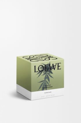 Candela alla marijuana media