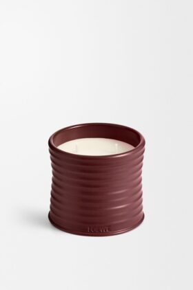 Candela alla rapa rossa, formato medio