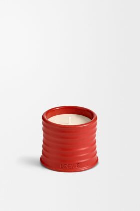 Candela alle foglie di pomodoro