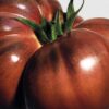 Candela «Foglie di pomodoro grandi»