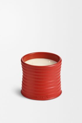 Candela alle foglie di pomodoro (media)