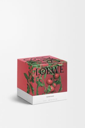 Candela alle foglie di pomodoro (media)