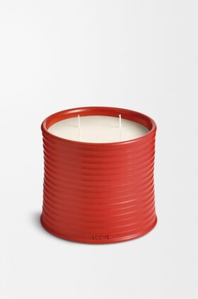 Candela «Foglie di pomodoro grandi»