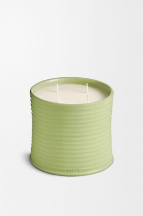 Candela grande al profumo di cetriolo