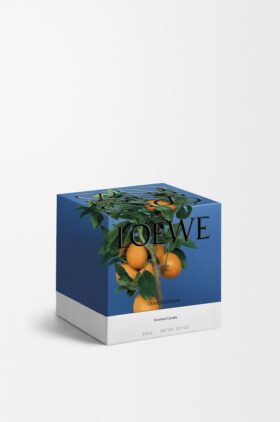 Candela media al profumo di fiori d’arancio