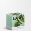 Candela Medium al cetriolo