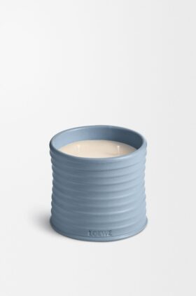 Candela «Medium Bacche di cipresso»