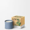 Candela «Medium Bacche di cipresso»