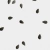 Candela Midi Black Sesame
