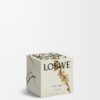 Candela Midi Sweet Almond