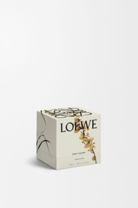 Candela Midi Sweet Almond