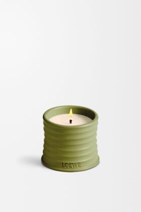 Candela piccola al pistacchio