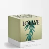 Candela profumata grande Scent of Marihuana