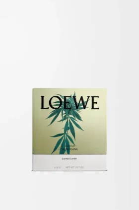 Candela profumata “Scent of Marihuana” (formato medio)