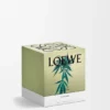 Candela profumata “Scent of Marihuana” (formato medio)