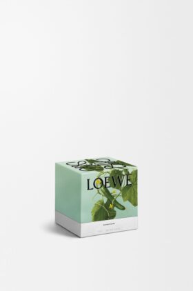 Candela “Small Cetriolo”