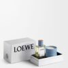 LOEWE Profumi per l’ambiente Set regalo con bacche di cipresso