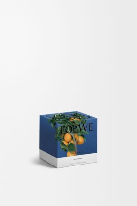 Piccola candela ai fiori d’arancio