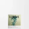 Piccola candela con Scent of Marihuana
