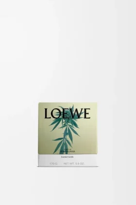 Piccola candela con Scent of Marihuana