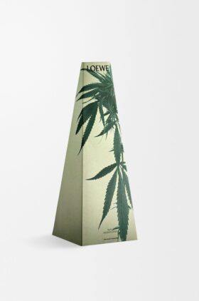 Portacandela in cera con Scent of Marihuana