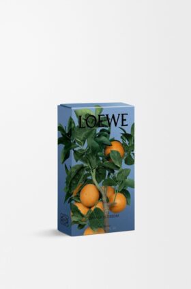 Profumi per ambienti spray ai fiori d’arancio