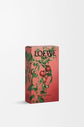 Profumi per ambienti spray alle foglie di pomodoro
