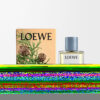 Profumi per ambienti spray Bacche di cipresso