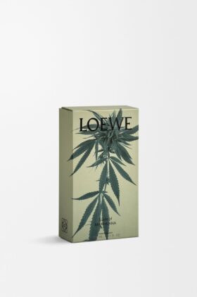 Profumi per ambienti spray “Scent of Marihuana”
